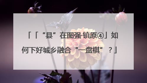 「“县”在图强·镇原④」如何下好城乡融合“一盘棋”？