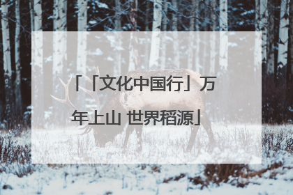 「文化中国行」万年上山 世界稻源