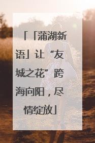 「蒲湖新语」让“友城之花”跨海向阳，尽情绽放