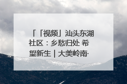 「视频」汕头东湖社区：乡愁归处 希望新生｜大美岭南·百村焕新记
