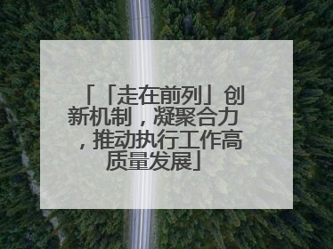 「走在前列」创新机制，凝聚合力，推动执行工作高质量发展