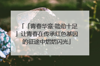 「青春华章·赣劲十足」让青春在传承红色基因的征途中熠熠闪光