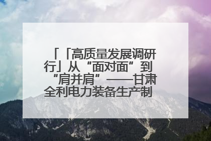 「高质量发展调研行」从“面对面”到“肩并肩”——甘肃全利电力装备生产制造项目一线见闻