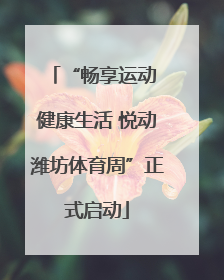 “畅享运动 健康生活 悦动潍坊体育周”正式启动
