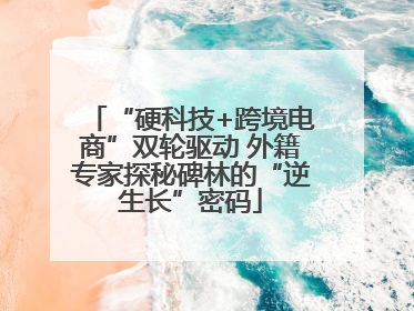“硬科技+跨境电商”双轮驱动 外籍专家探秘碑林的“逆生长”密码