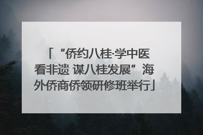 “侨约八桂·学中医 看非遗 谋八桂发展”海外侨商侨领研修班举行
