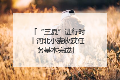 “三夏”进行时丨河北小麦收获任务基本完成