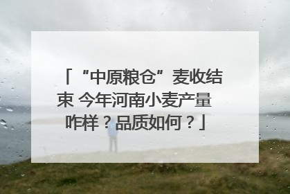 “中原粮仓”麦收结束 今年河南小麦产量咋样？品质如何？