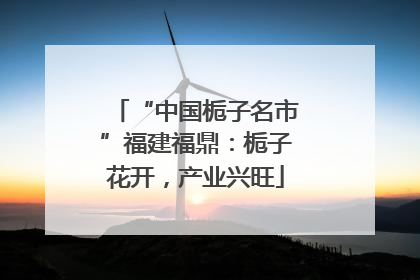 “中国栀子名市”福建福鼎：栀子花开，产业兴旺