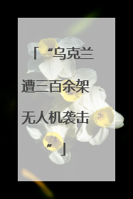 “乌克兰遭三百余架无人机袭击”