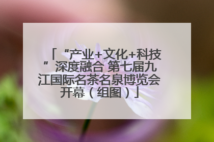“产业+文化+科技”深度融合 第七届九江国际名茶名泉博览会开幕（组图）
