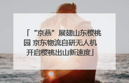 “京燕”展翅山东樱桃园 京东物流自研无人机开启樱桃出山新速度
