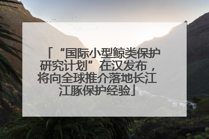 “国际小型鲸类保护研究计划”在汉发布，将向全球推介落地长江江豚保护经验