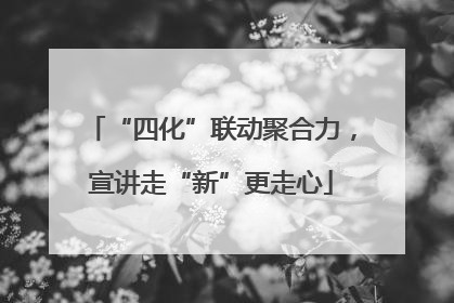 “四化”联动聚合力，宣讲走“新”更走心