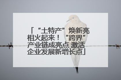 “土特产”焕新亮相火起来！“跨界”产业链成亮点 激活企业发展新增长点