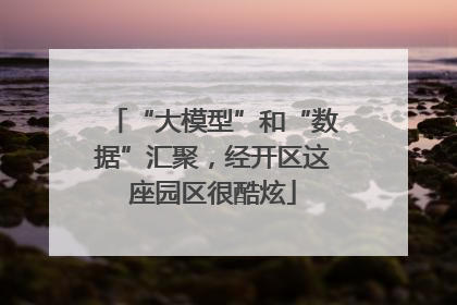 “大模型”和“数据”汇聚，经开区这座园区很酷炫