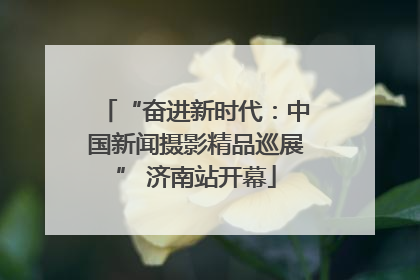 “奋进新时代：中国新闻摄影精品巡展” 济南站开幕