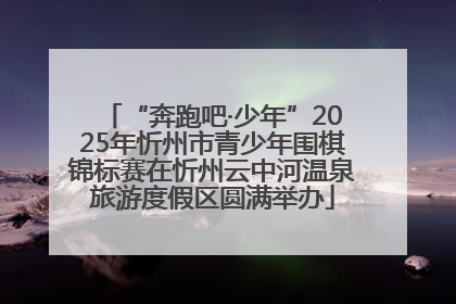 “奔跑吧·少年”2025年忻州市青少年围棋锦标赛在忻州云中河温泉旅游度假区圆满举办