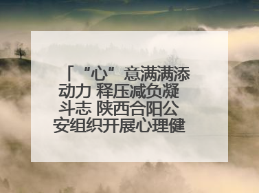 “心”意满满添动力 释压减负凝斗志 陕西合阳公安组织开展心理健康团体辅导活动