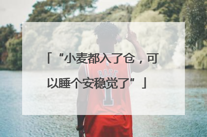 “小麦都入了仓，可以睡个安稳觉了”