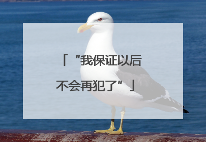 “我保证以后不会再犯了”