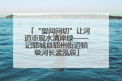 “望闻问切”让河道重现水清岸绿——记郓城县郓州街道镇级河长孟泓辰