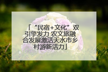 “民宿+文化”双引擎发力 农文旅融合发展激活天水市乡村游新活力