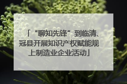“聊知先锋”到临清、冠县开展知识产权赋能规上制造业企业活动