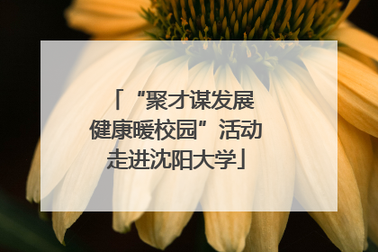 “聚才谋发展 健康暖校园”活动走进沈阳大学