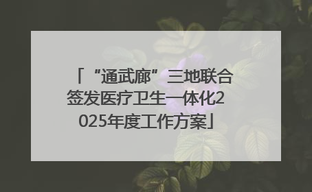 “通武廊”三地联合签发医疗卫生一体化2025年度工作方案