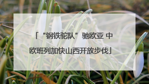 “钢铁驼队”驰欧亚 中欧班列加快山西开放步伐