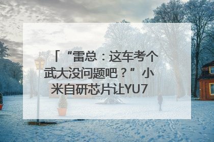 “雷总：这车考个武大没问题吧？”小米自研芯片让YU7会学习｜汽车科技
