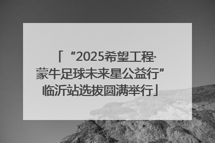 “2025希望工程·蒙牛足球未来星公益行”临沂站选拔圆满举行