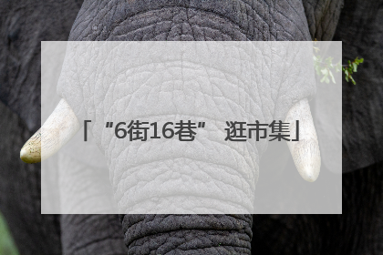 “6街16巷” 逛市集