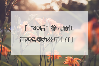 “80后”徐云涌任江西省委办公厅主任