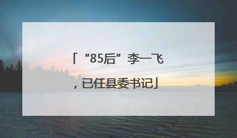 “85后”李一飞，已任县委书记