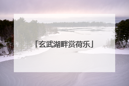 玄武湖畔赏荷乐