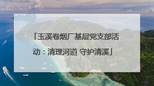 玉溪卷烟厂基层党支部活动：清理河道 守护清溪