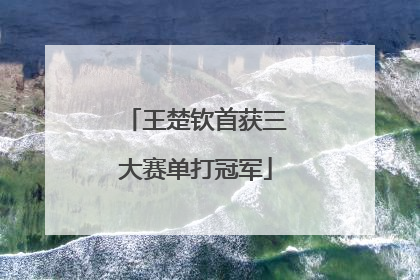 王楚钦首获三大赛单打冠军