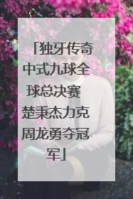 独牙传奇中式九球全球总决赛 楚秉杰力克周龙勇夺冠军
