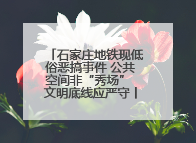 石家庄地铁现低俗恶搞事件 公共空间非“秀场” 文明底线应严守丨有一说一