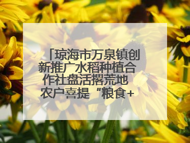 琼海市万泉镇创新推广水稻种植合作社盘活撂荒地 农户喜提“粮食+钞票”分红