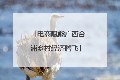 电商赋能广西合浦乡村经济腾飞