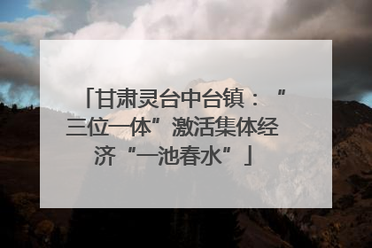 甘肃灵台中台镇：“三位一体”激活集体经济“一池春水”