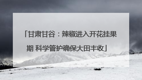 甘肃甘谷：辣椒进入开花挂果期 科学管护确保大田丰收