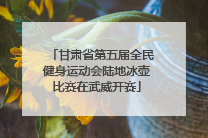 甘肃省第五届全民健身运动会陆地冰壶比赛在武威开赛