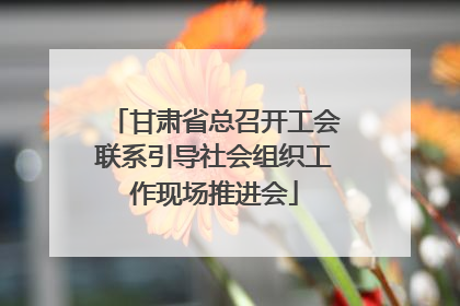 甘肃省总召开工会联系引导社会组织工作现场推进会