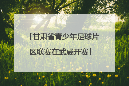 甘肃省青少年足球片区联赛在武威开赛