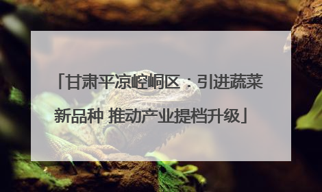 甘肃平凉崆峒区：引进蔬菜新品种 推动产业提档升级