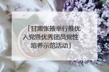 甘肃张掖举行推优入党暨优秀团员党性培养示范活动